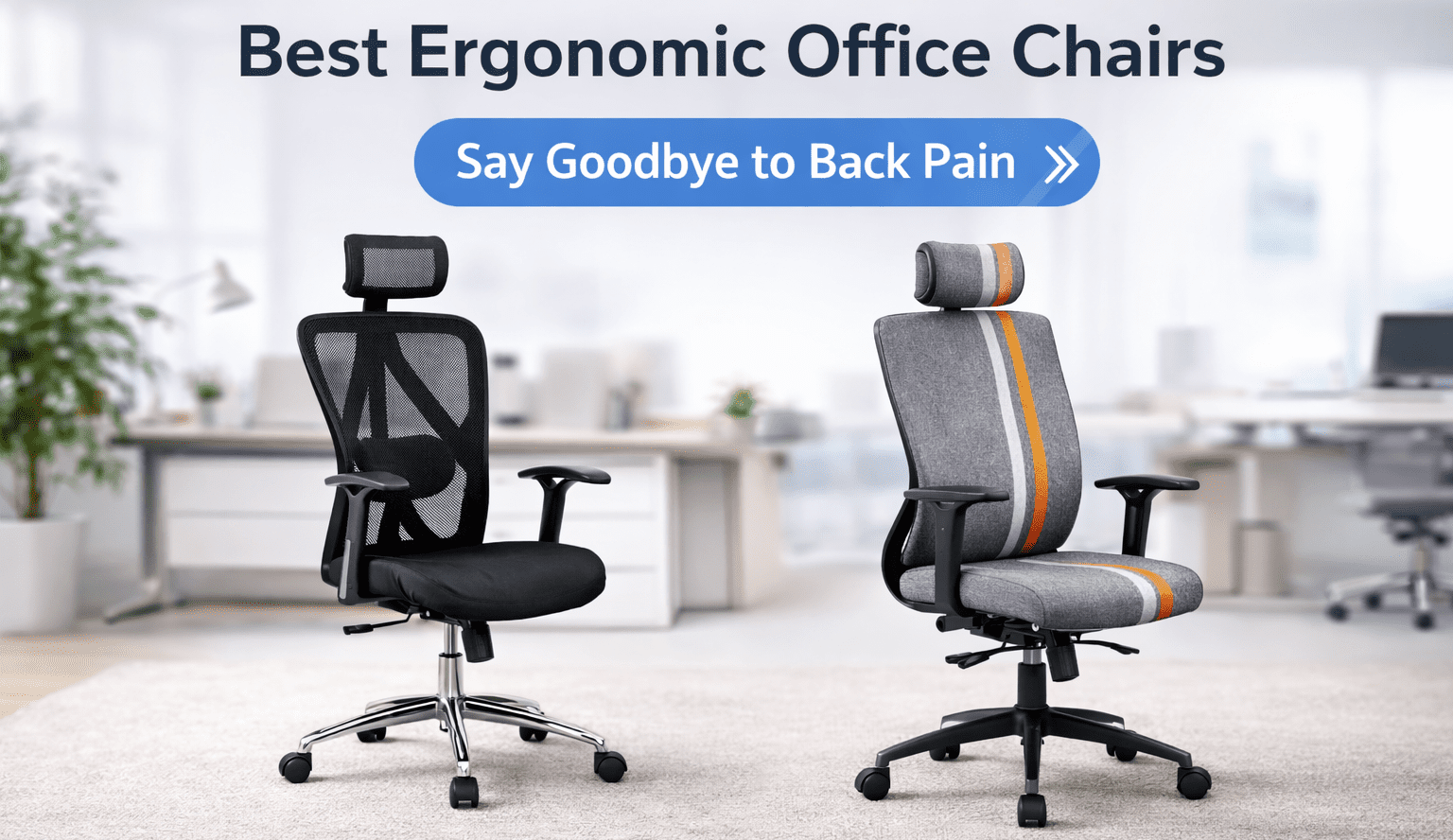 Best Ergonomic Office Chairs